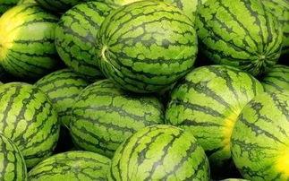 吃瓜大瓜事件 吃瓜视频每日大赛,每日大赛精彩瞬间大盘点